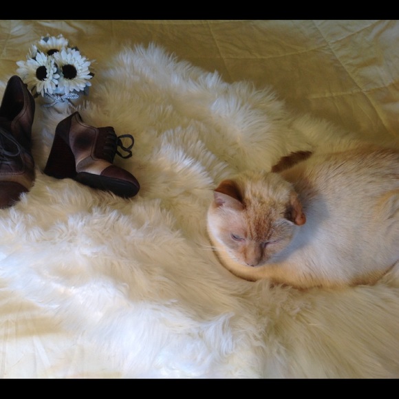 Meet the Posher - Picture 5 of 6